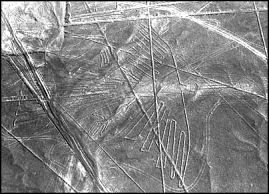 bird outline approximately 123m long